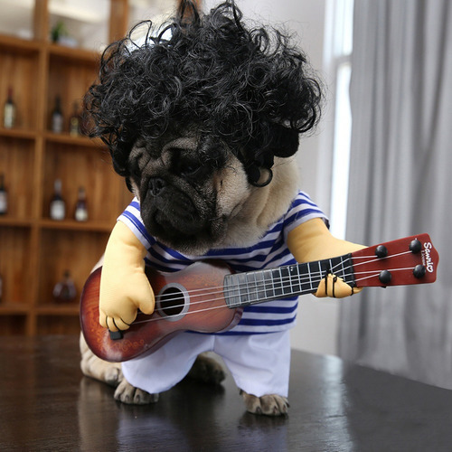 Perro Mascota Guitarrista Ropa Divertido Guitarra Disfraz Ba 