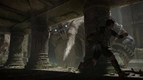 Shadow Of The Colossus Ps4 Fisico Vemayme