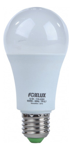 Kit Com 10 Lâmpadas De Led Bulbo 12w 6.500k Foxlux 90.22