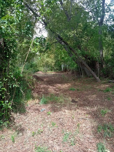 Venta De Parcela 10000mt2 De Terreno La Placeta-lo Beño