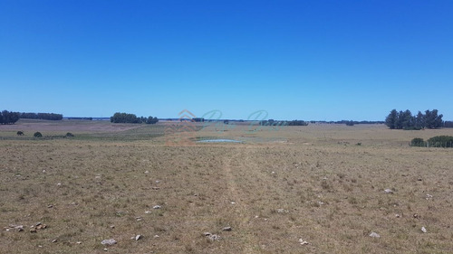 Imagen 3 de 7 de Chacra En Zona Rural - Zona Rural. - Zona Rural Zona Rural