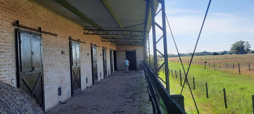 Venta Campo Haras San Andres De Giles