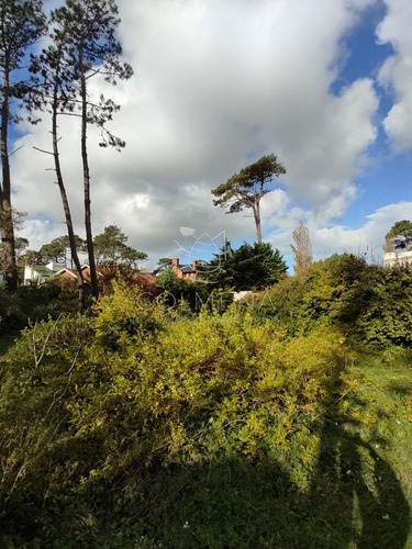 Imagen 4 de 7 de Terreno En Zona Mansa Muy Buen Matraje - Punta Del Este Mansa