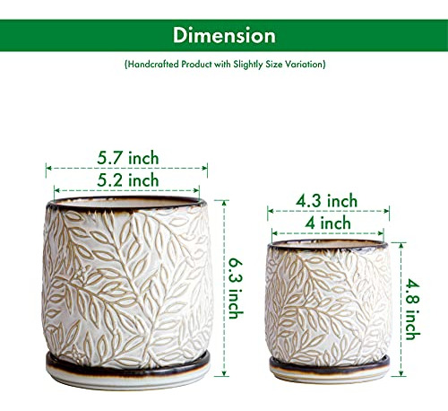 Maceta Cerámica Diseño Hojas Relieve Drenaje Platillo Blanco
