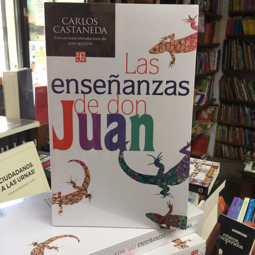 Las Enseñanzas De Don Juan - Carlos Castaneda