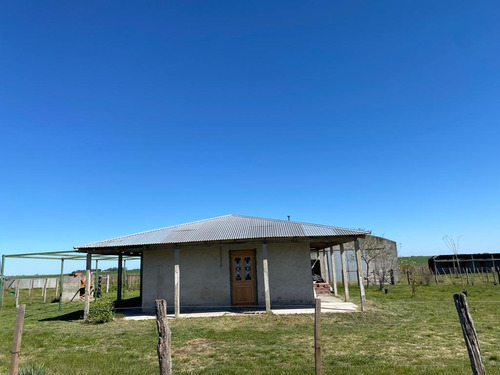Imagen 2 de 23 de Campo Agrícola En Gualeguaychú (camino De Rojas)