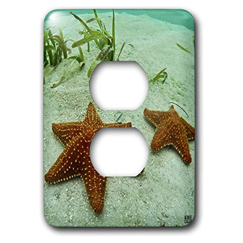 Estrella De Mar, Islas San Blas