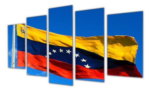 Cuadro 60x100cm Bandera De Venezuela Pais Latinoamerica M2