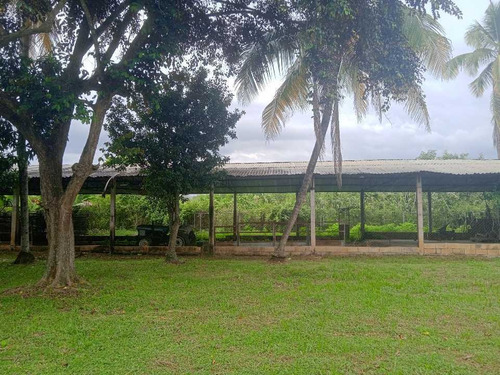 Imagen 30 de 30 de En Venta Finca Avicola Y Conejera Con Fondo De Comercio Para Embutidos
