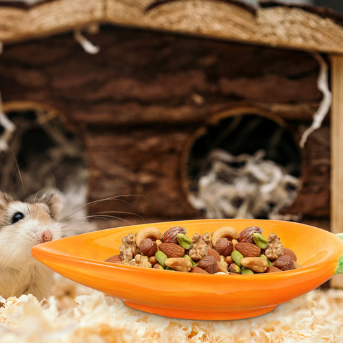 Plato De Comida Para Hámsteres Para Conejos, Zanahoria