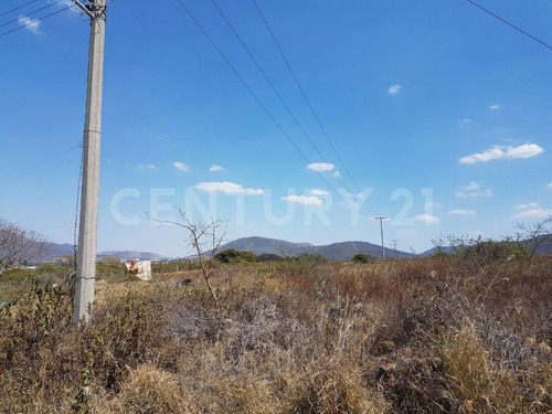 Imagen 7 de 7 de Terreno En Venta , Buenavista, Tlajomulco De Zúñiga, Jalisco