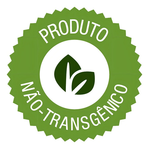 Combo 2 Cuscuz Flocão De Milho Puro Natural São Braz 500g