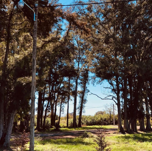 Imagen 5 de 8 de Oferta! Lote / Terreno Barrio Semi-cerrado - Zarate 831 M2