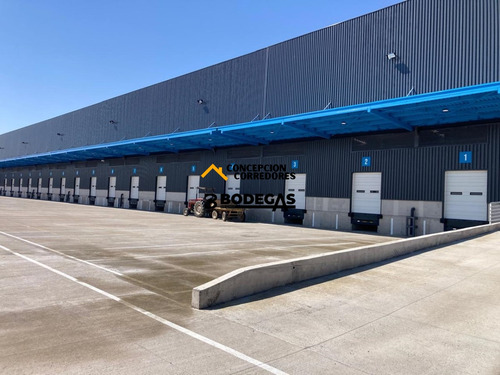 Arriendo Bodega De 1.200 M2 En P. Industrial Enea, Pudahuel.