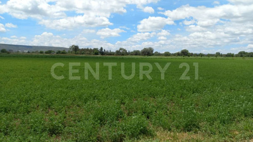 Terreno Rustico En Venta En Rincon De Romos