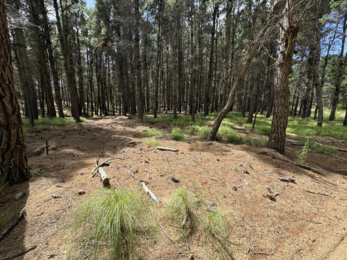 Terreno En   Villa Robles