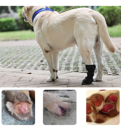Bota Protectora Para Patas (xl), Tamaño Grande, Resistente A