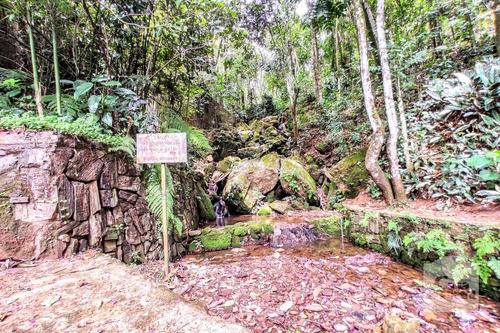Imagem 4 de 10 de Lote Em Condomínio À Venda No Bosque Residencial Do Jambreiro - Código 278517 - 278517