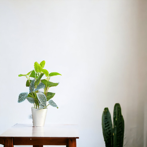 Planta Artificial Con Maceta Escritorio Conica + Piedras