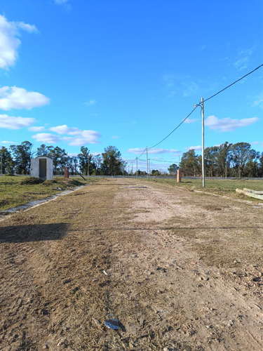Lotes 100% Financiados, Ubicados En Barrio Residencial Semi-cerrado, Virrey Del Pino, Km 46.