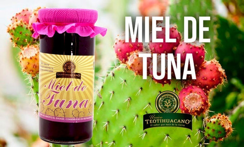 Miel Artesanal De Tuna Roja 250ml
