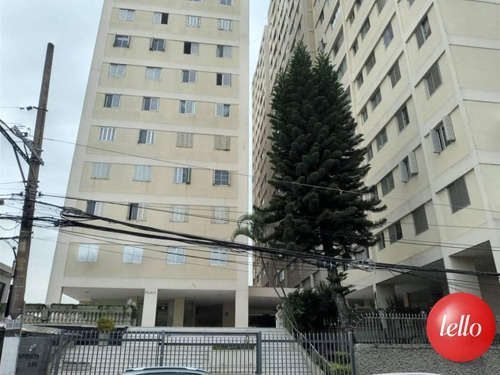 Apartamento - Ref: 213320
