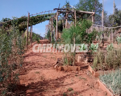 Imagem 17 de 23 de Chácara À Venda 3 Dormitórios No Bairro Distrito De Sapucaí Em Jacutinga - Ch03109 - 68382247