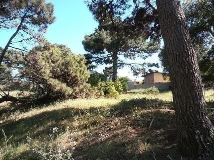 Imagen 1 de 1 de Terreno En Venta En Las Gaviotas