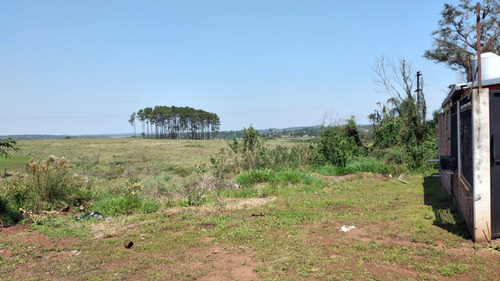 Terreno En Venta En Centro