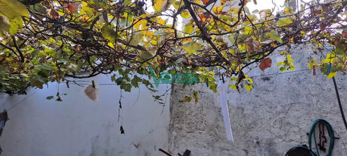 Oportunidad Inversores En Pando, Casa 4 Dorm. En Terreno Habilitado Para Edificio