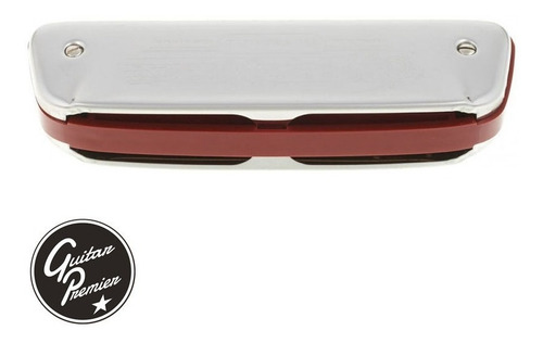 Armonica Hohner Golden Melody Profesional Estuche Lecciones