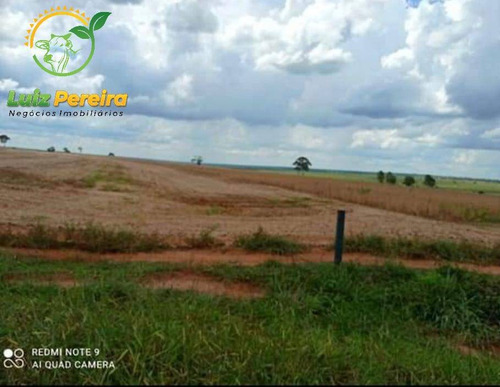 Imagem 14 de 15 de Fazenda À Venda Em Anaurilândia - Ms - (excelente Para Lavoura) - 1696