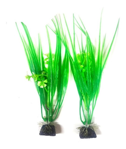 Pack 2 Plantas Fantasía 20cm. Variedad Pecera Acuario Adorno