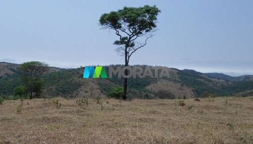 Imagem 11 de 15 de Fazenda - Zona Rural - Ref: 4350 - V-mta4350