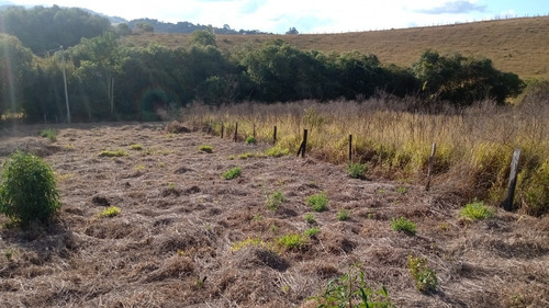 Imagem 1 de 7 de Chácara 1000 M² Plana , Água E Luz + Escriturada.