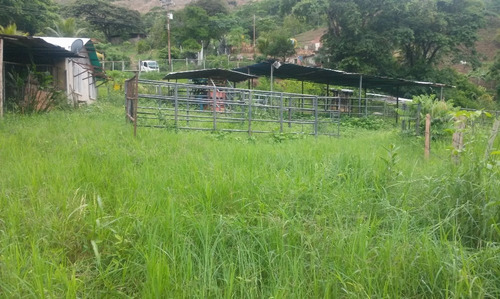 En Venta Finca Ideal Para Ganadería, Cría De Caballos Entre Otras Actividades.