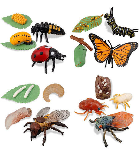 Toymany 16pcs Figuras De Insectos Ciclo De Vida De Mari...