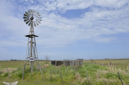 Imagen 6 de 12 de Se Vende - Excelente Campo 84 Has. Mixtas - General Belgrano