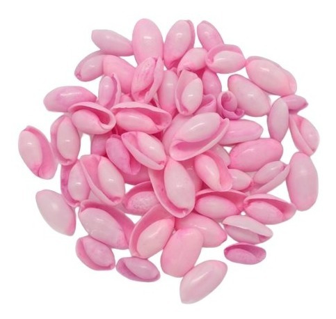 Imagen 1 de 10 de Caracolas Y Conchas Marinas Para Velas De Gel - 12 Piezas