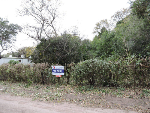 Imagen 3 de 12 de Lote De 20x40, Punta Indio