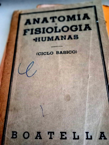 Anatomia Fisiologia  -ciclo Basico