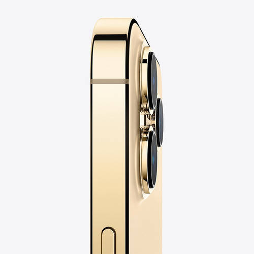 Apple iPhone 13 Pro Max (256 GB) - Oro