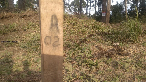 Imagem 12 de 15 de Chácara Para Venda Em Campina Grande Do Sul, Imbuial - 00292_2-1224372