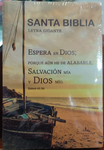 Biblia Rvr1960 Economica Tapa Ilustrada 14 Puntos Letra Giga