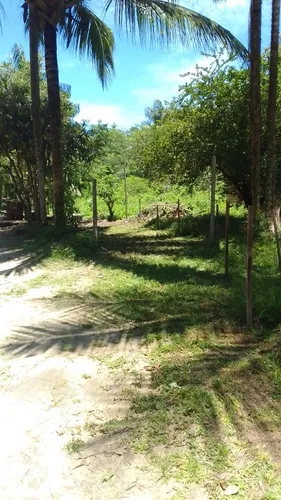 Vendo Lotes De Terreno Em Cotijuba Belém Pará