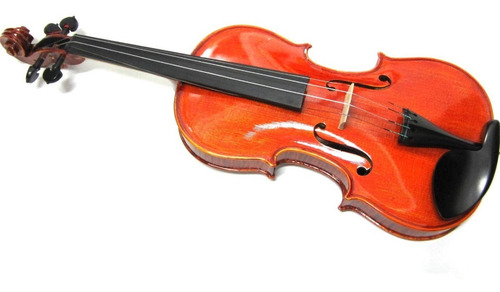 Violin Profesional Visconti Vv400 Excelentes Maderas