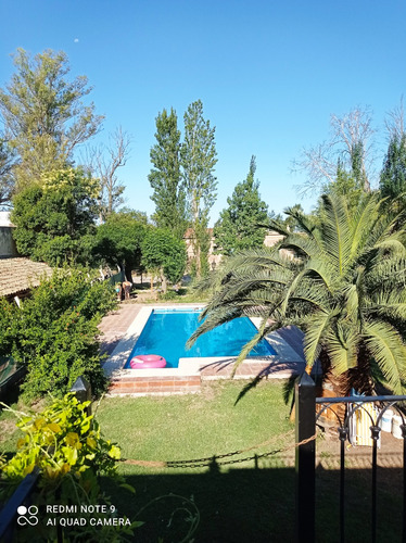 Quinta Uranga