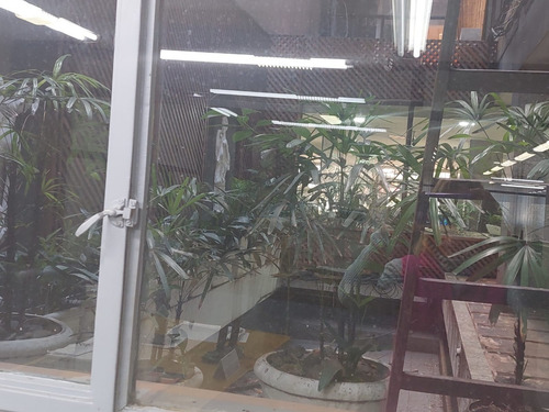 Oficinas , Piso Completo 297 Mts, Frente A Plaza Roma