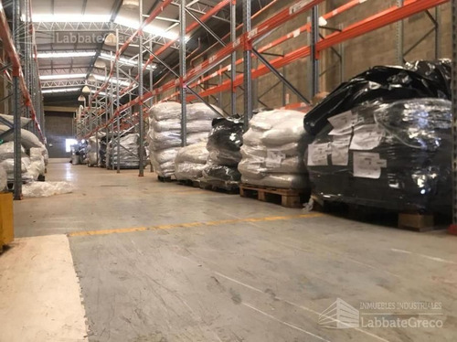 Imagen 3 de 15 de Nave Industrial - Villa Lynch