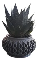 Comprar Maceta Diseño Original Y Moderno 3d Suculentas Cactus Bonsai